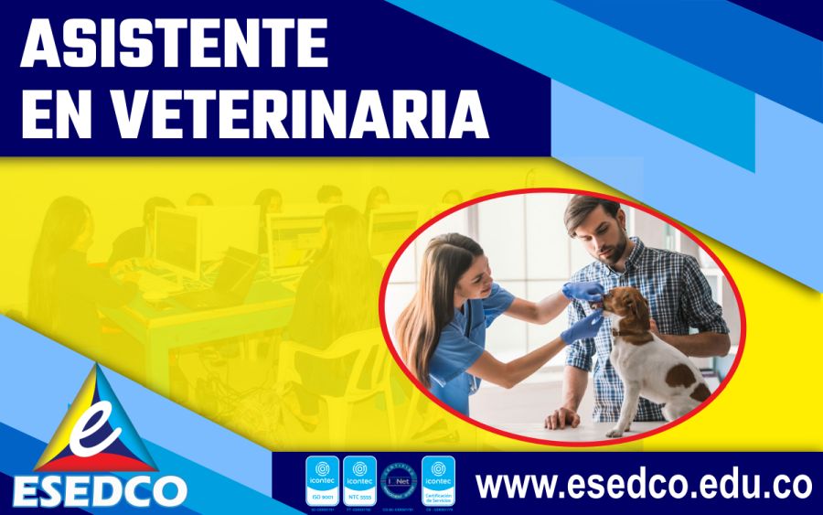 Carrera técnica laboral por competencias en Asistente en Veterinaria de ESEDCO Saravena, Tame y Arauquita, Arauca